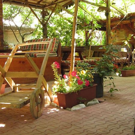 Olympos Natural Pansiyon Экстерьер фото