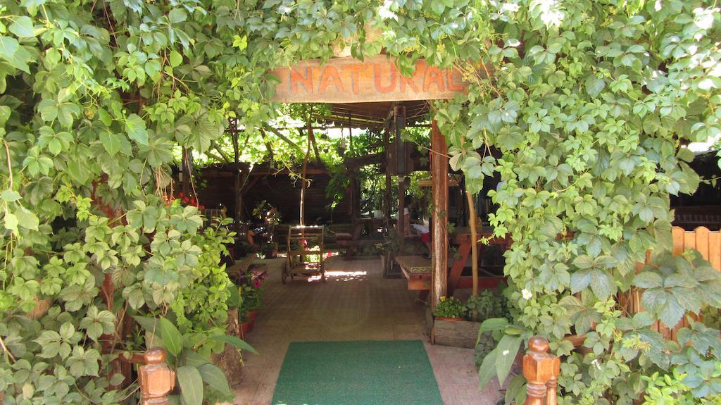 Olympos Natural Pansiyon Экстерьер фото